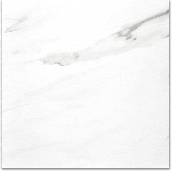 Polished Infatuation 24X24 | Young Interiors Flooring Center