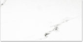 Polished Infatuation 24X48 | Young Interiors Flooring Center