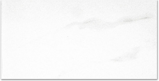 Polished Infatuation 24X48 | Young Interiors Flooring Center