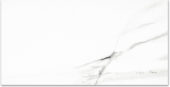 Polished Infatuation 24X48 | Young Interiors Flooring Center