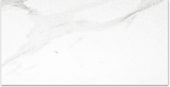 Polished Infatuation 24X48 | Young Interiors Flooring Center