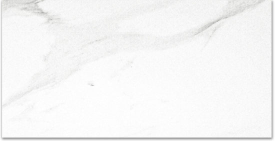 Polished Infatuation 24X48 | Young Interiors Flooring Center