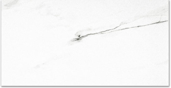 Polished Infatuation 24X48 | Young Interiors Flooring Center