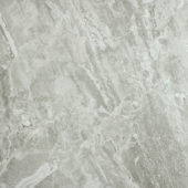 Polished Inspiration 24X24 | Young Interiors Flooring Center