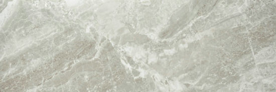 Polished Inspiration 4X12 | Young Interiors Flooring Center