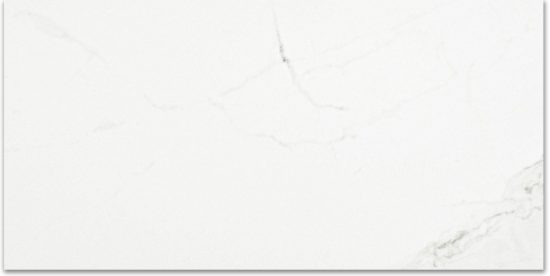 Polished Love 12X24 | Young Interiors Flooring Center
