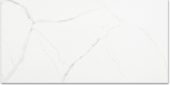 Polished Love 12X24 | Young Interiors Flooring Center