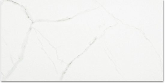 Polished Love 12X24 | Young Interiors Flooring Center