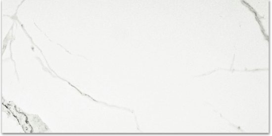 Polished Love 16X32 | Young Interiors Flooring Center