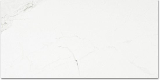 Polished Love 16X32 | Young Interiors Flooring Center
