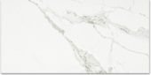 Polished Love 16X32 | Young Interiors Flooring Center