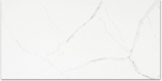 Polished Love 16X32 | Young Interiors Flooring Center