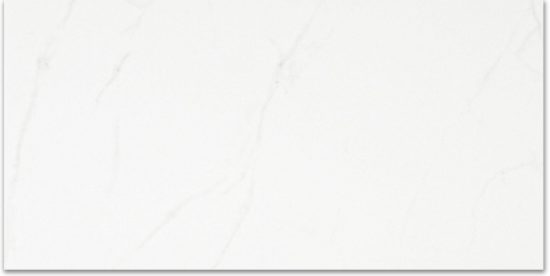 Polished Love 16X32 | Young Interiors Flooring Center