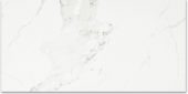 Polished Love 16X32 | Young Interiors Flooring Center