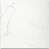 Polished Love 24X24 | Young Interiors Flooring Center