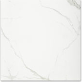 Polished Love 24X24 | Young Interiors Flooring Center