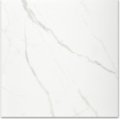 Polished Love 24X24 | Young Interiors Flooring Center