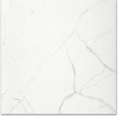 Polished Love 24X24 | Young Interiors Flooring Center