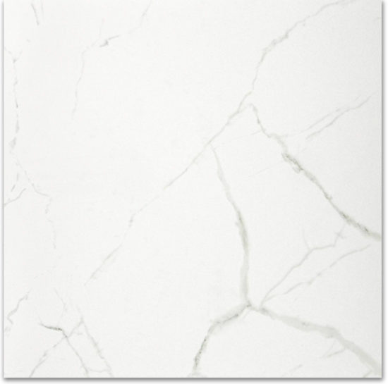Polished Love 24X24 | Young Interiors Flooring Center