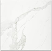 Polished Love 24X24 | Young Interiors Flooring Center