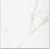 Polished Love 24X24 | Young Interiors Flooring Center