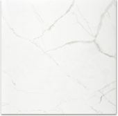Polished Love 24X24 | Young Interiors Flooring Center