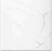 Polished Love 24X24 | Young Interiors Flooring Center