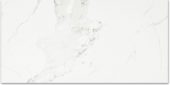 Polished Love 24X48 | Young Interiors Flooring Center