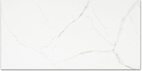 Polished Love 24X48 | Young Interiors Flooring Center