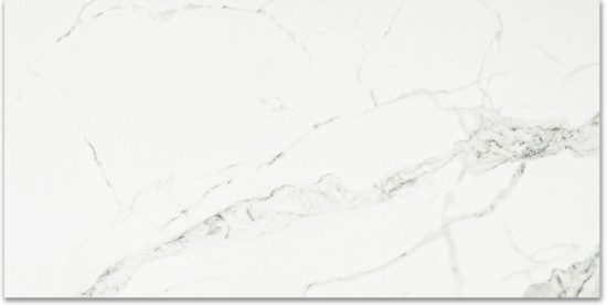 Polished Love 24X48 | Young Interiors Flooring Center