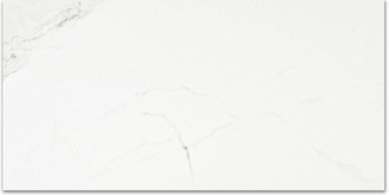 Polished Love 24X48 | Young Interiors Flooring Center