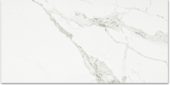 Polished Love 24X48 | Young Interiors Flooring Center