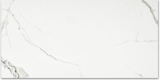 Polished Love 24X48 | Young Interiors Flooring Center