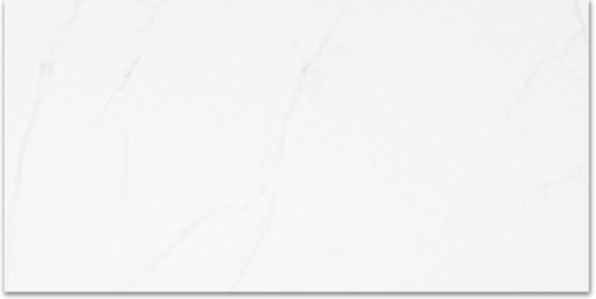 Polished Love 24X48 | Young Interiors Flooring Center