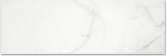 Polished Love 4X12 | Young Interiors Flooring Center