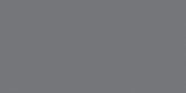 Polished Tokyo 12X24 | Young Interiors Flooring Center