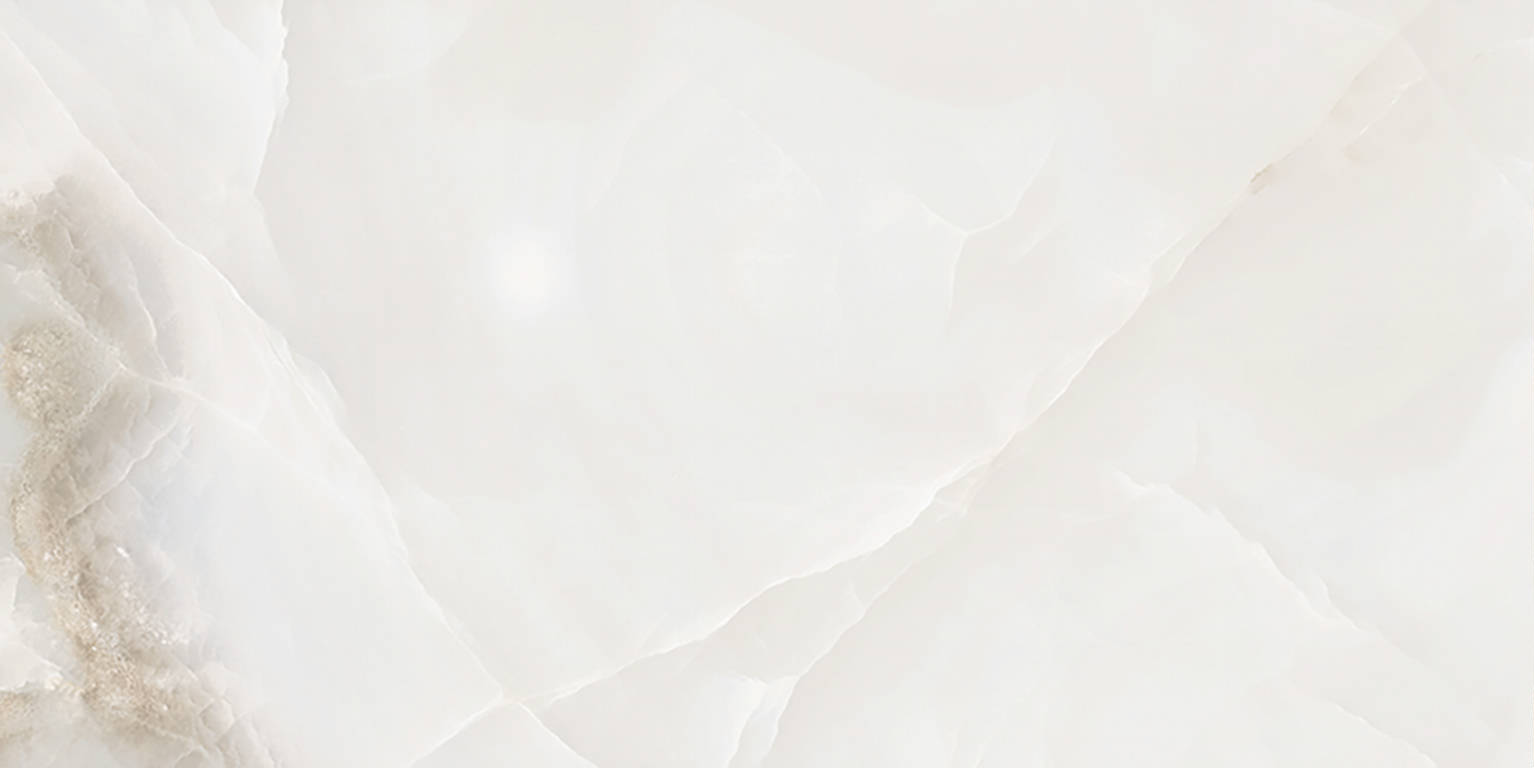 Rendezvous White Polished 12x24