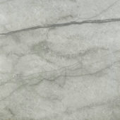 Roma Argento Polished 24X24 | Young Interiors Flooring Center