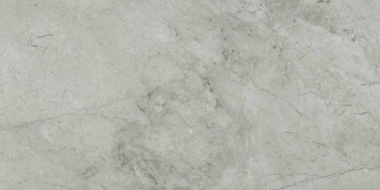 Roma Argento Polished 24X48 | Young Interiors Flooring Center