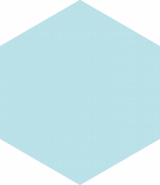 Ronda 5.5X6.3” Aqua Hexagon | Young Interiors Flooring Center