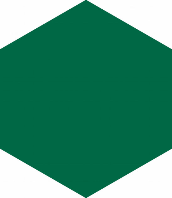 Ronda 5.5X6.3” Green Hexagon | Young Interiors Flooring Center