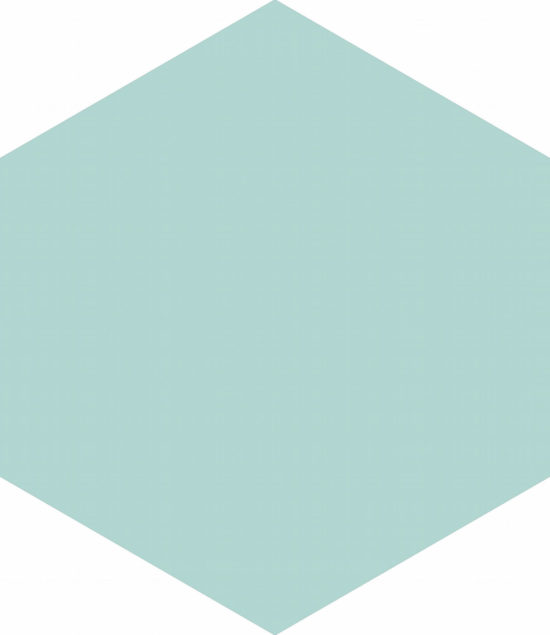 Ronda 5.5X6.3” Mint Hexagon | Young Interiors Flooring Center