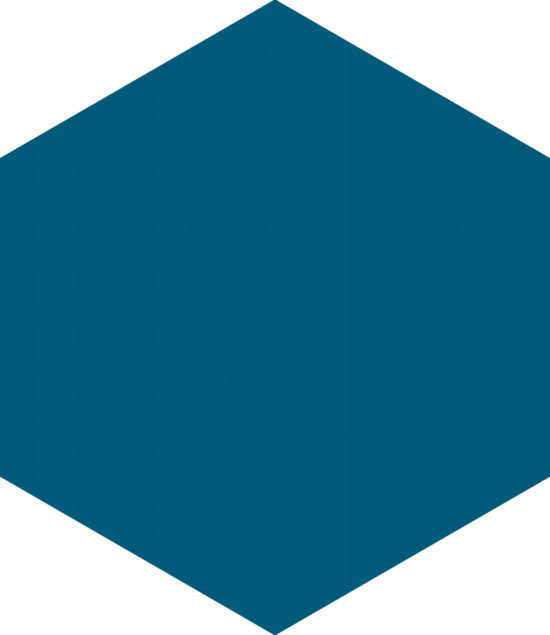 Ronda 5.5X6.3” Navy Blue Hexagon | Young Interiors Flooring Center