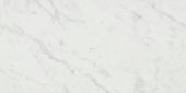 San Giulio Gioia Honed 12X24 | Young Interiors Flooring Center