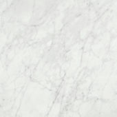 San Giulio Gioia Polished 24X24 | Young Interiors Flooring Center