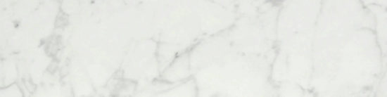 San Giulio Gioia Polished 3X12 Bullnose | Young Interiors Flooring Center