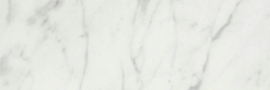 San Giulio Gioia Polished 4X12 | Young Interiors Flooring Center