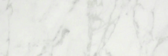 San Giulio Gioia Polished 4X12 | Young Interiors Flooring Center