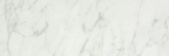San Giulio Gioia Polished 4X12 | Young Interiors Flooring Center