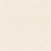 Serene Ivory 24x24 | Young Interiors Flooring Center